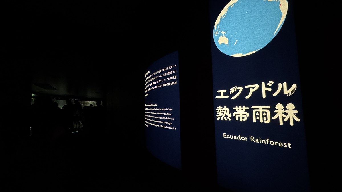 緑に包まれたエクアドル熱帯雨林エリアの展示全景