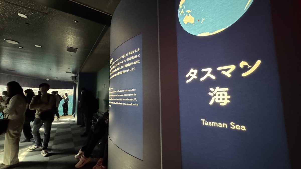 タスマン海エリアの大きな回遊水槽と観覧通路