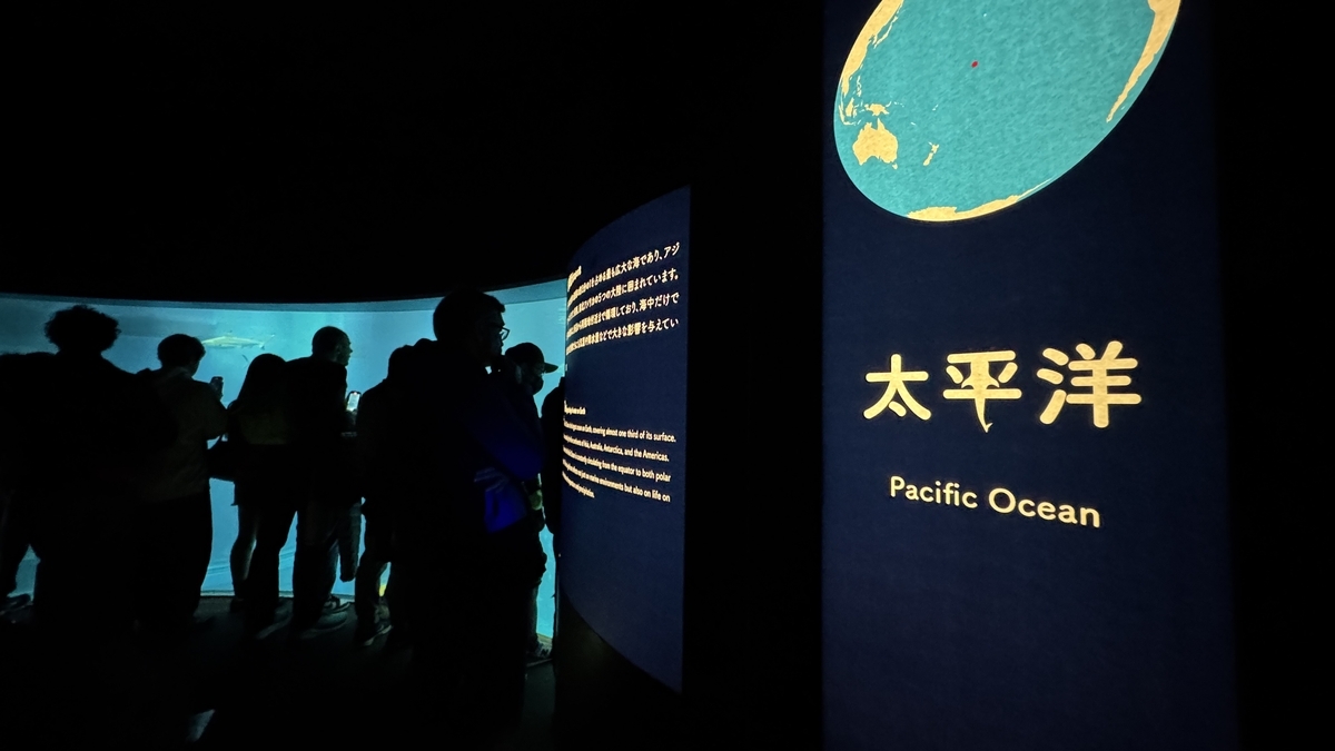 海遊館クライマックス太平洋エリアの巨大水槽全景