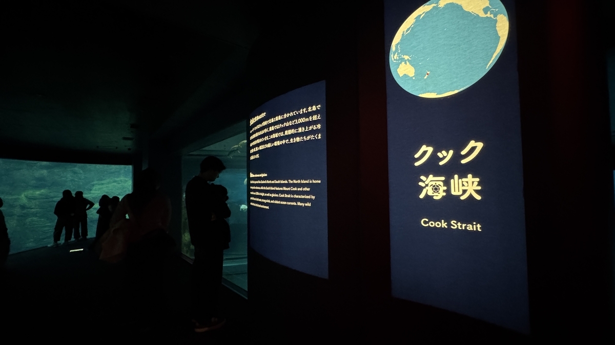 クック海峡エリアの潮流を意識した展示水槽