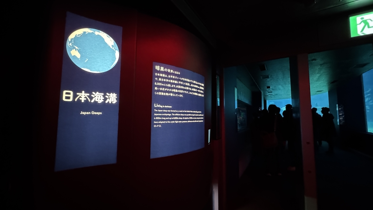 常設展示最後となる日本海溝エリアの導入水槽