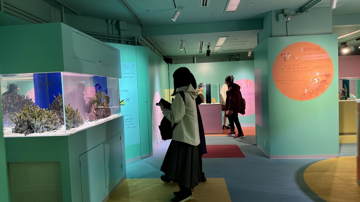 ぎゅぎゅっとキュートで人気のチンアナゴ展示