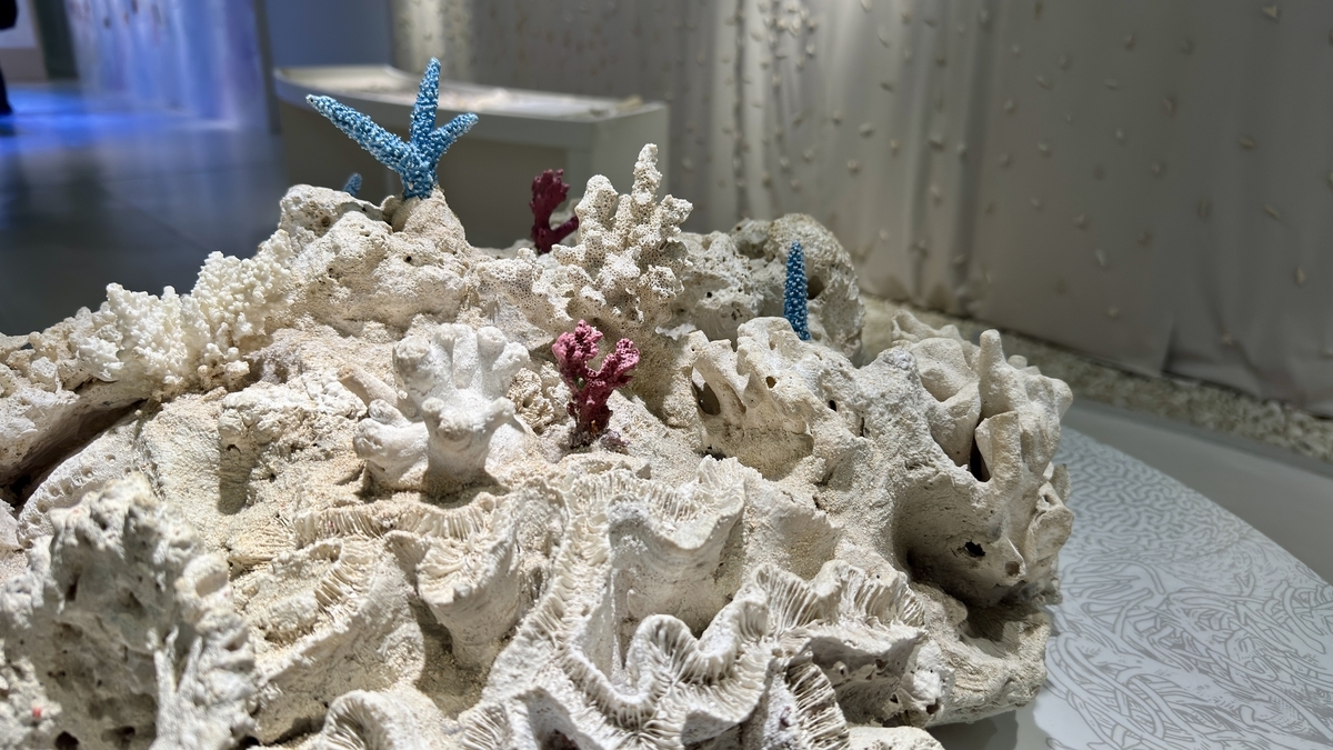 サンゴ展の背景や取り組みを説明する解説パネル