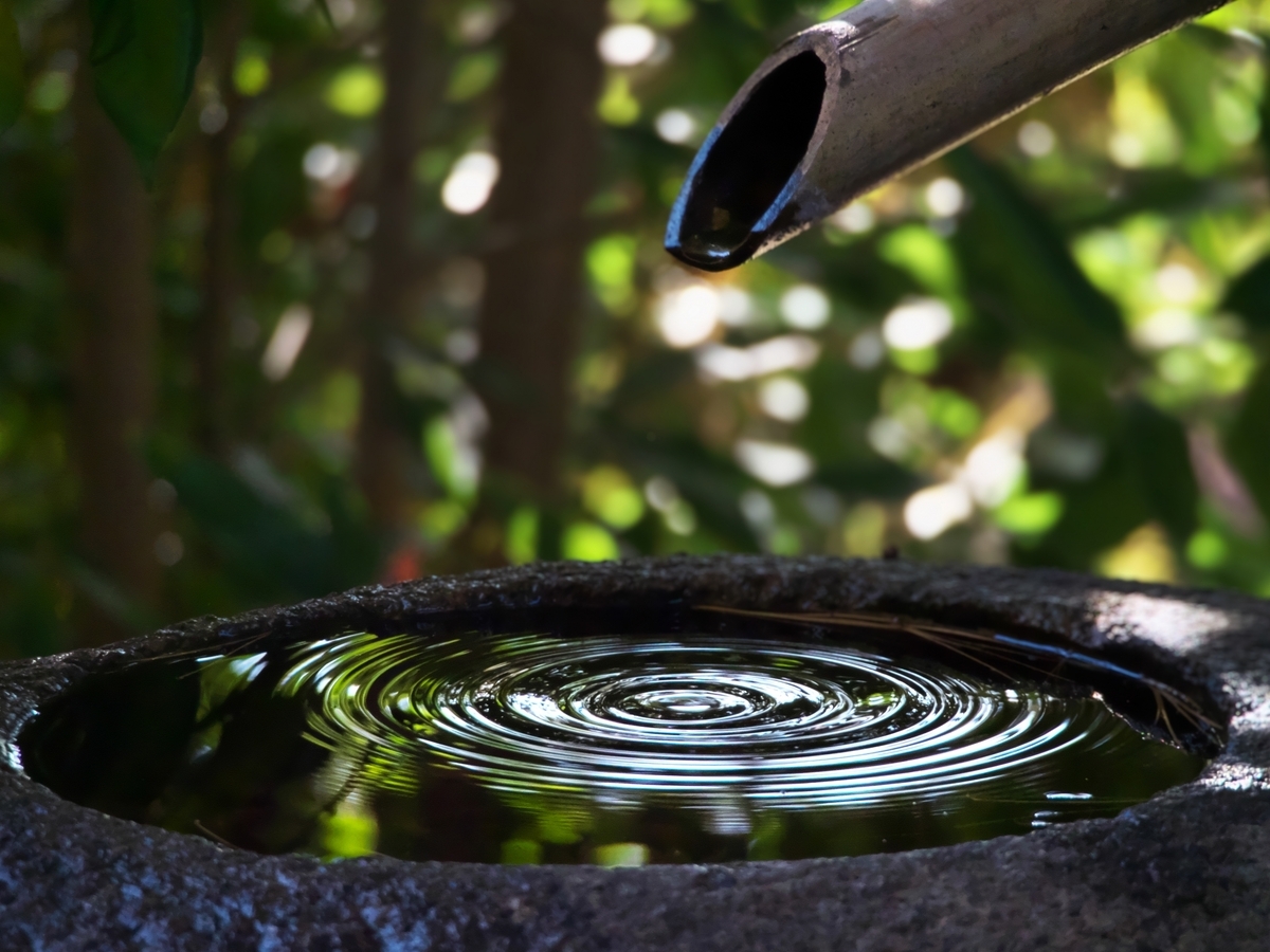 竹筒から落ちる水が波紋を広げる手水鉢