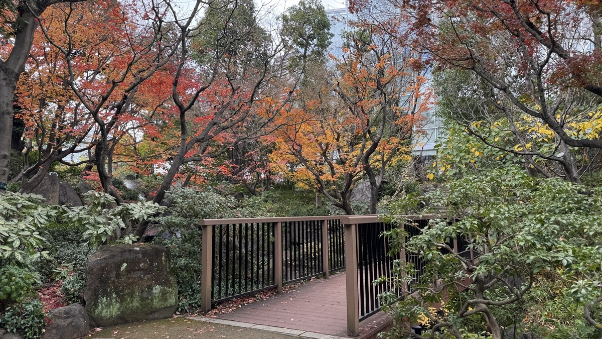 紅葉に囲まれた中自然の森の木橋