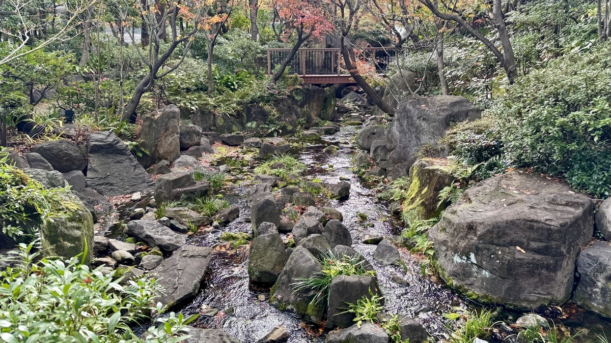 木々と岩に囲まれた中自然の森の渓流