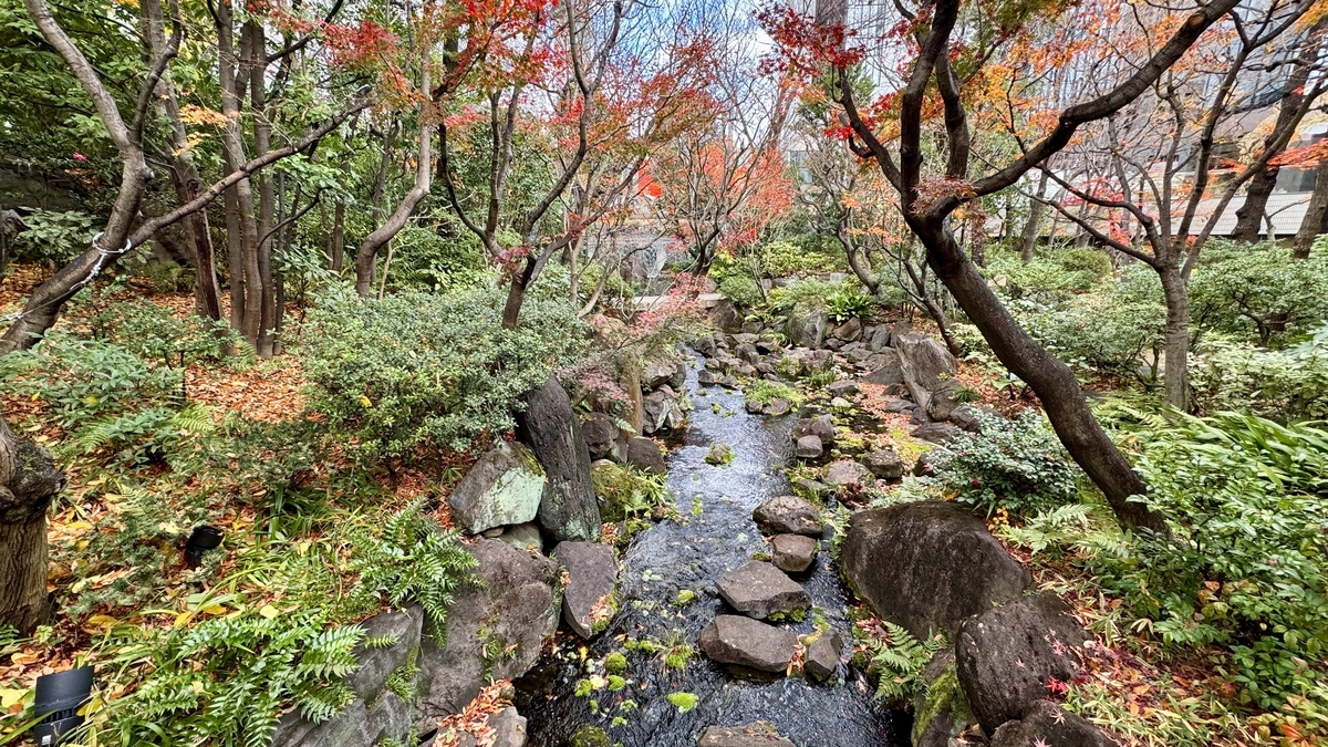 紅葉の木々の下を流れる中自然の森の渓流