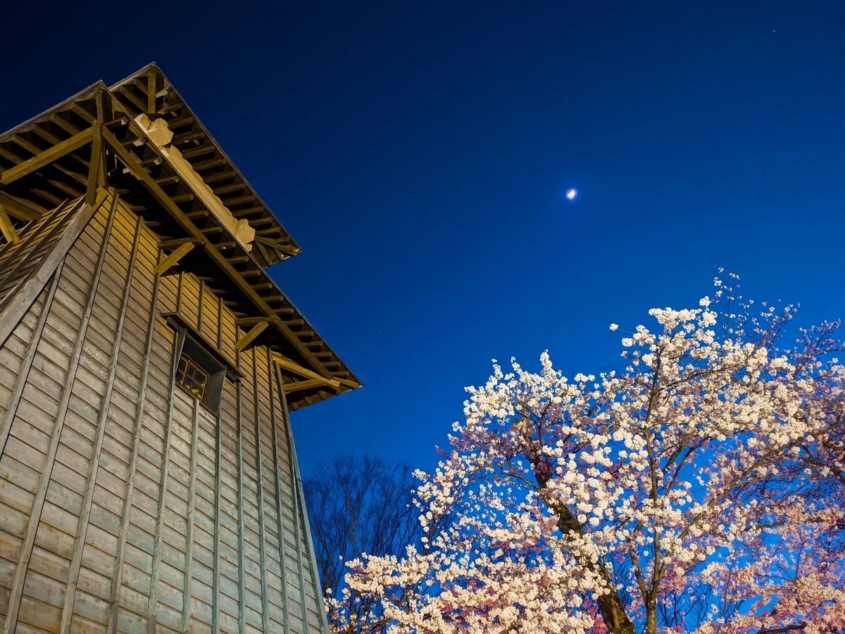 青い夕空に映える木造建物と満開の桜