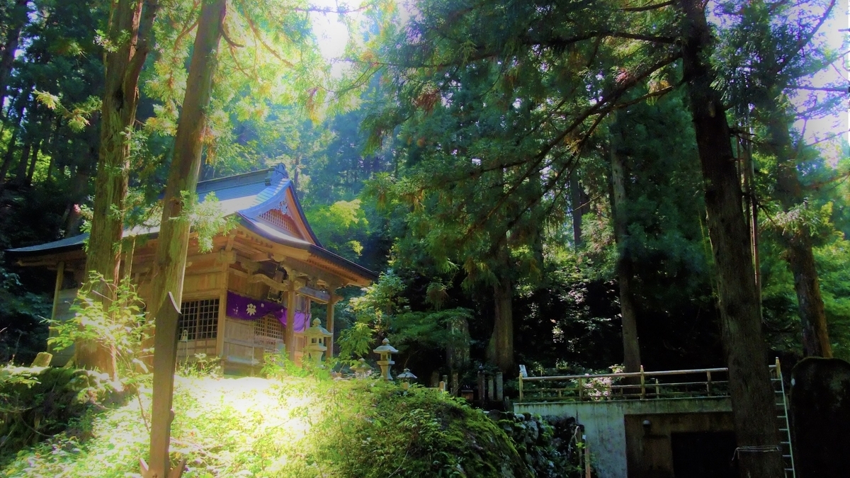 木々に囲まれた神社の鳥居
