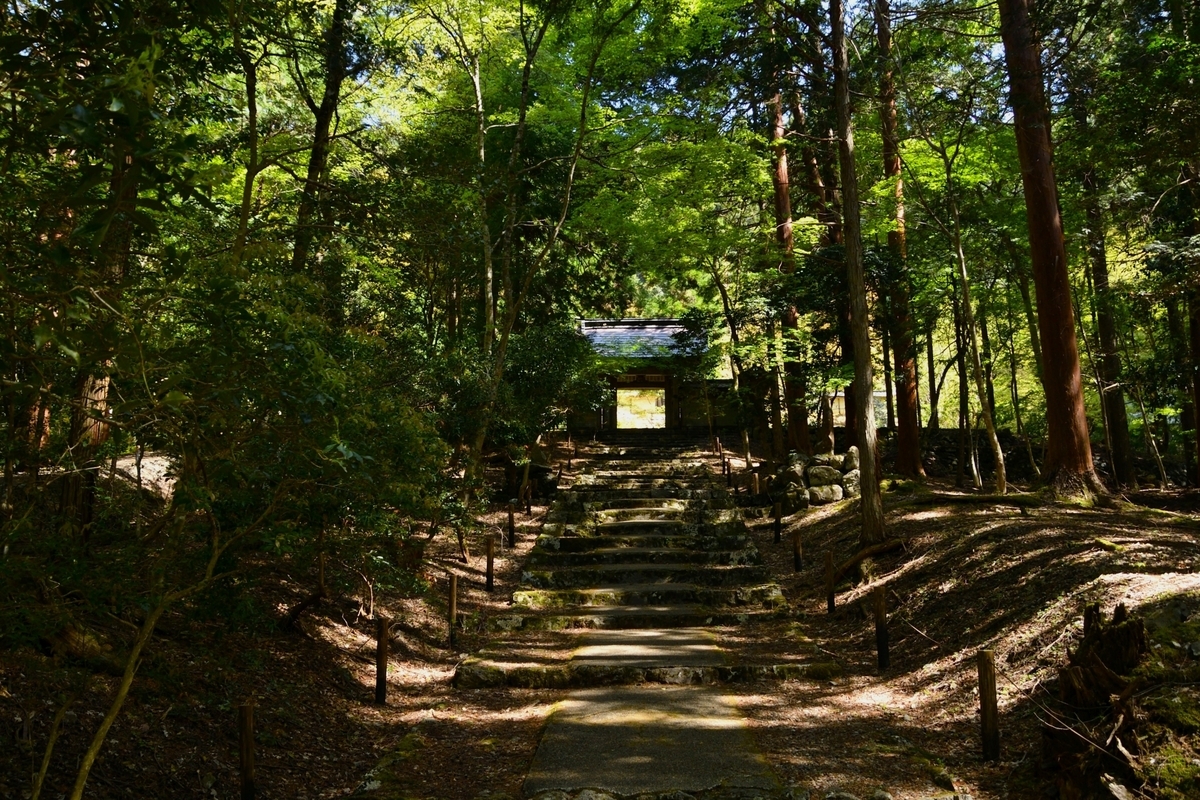 木漏れ日の森に続く石段と門