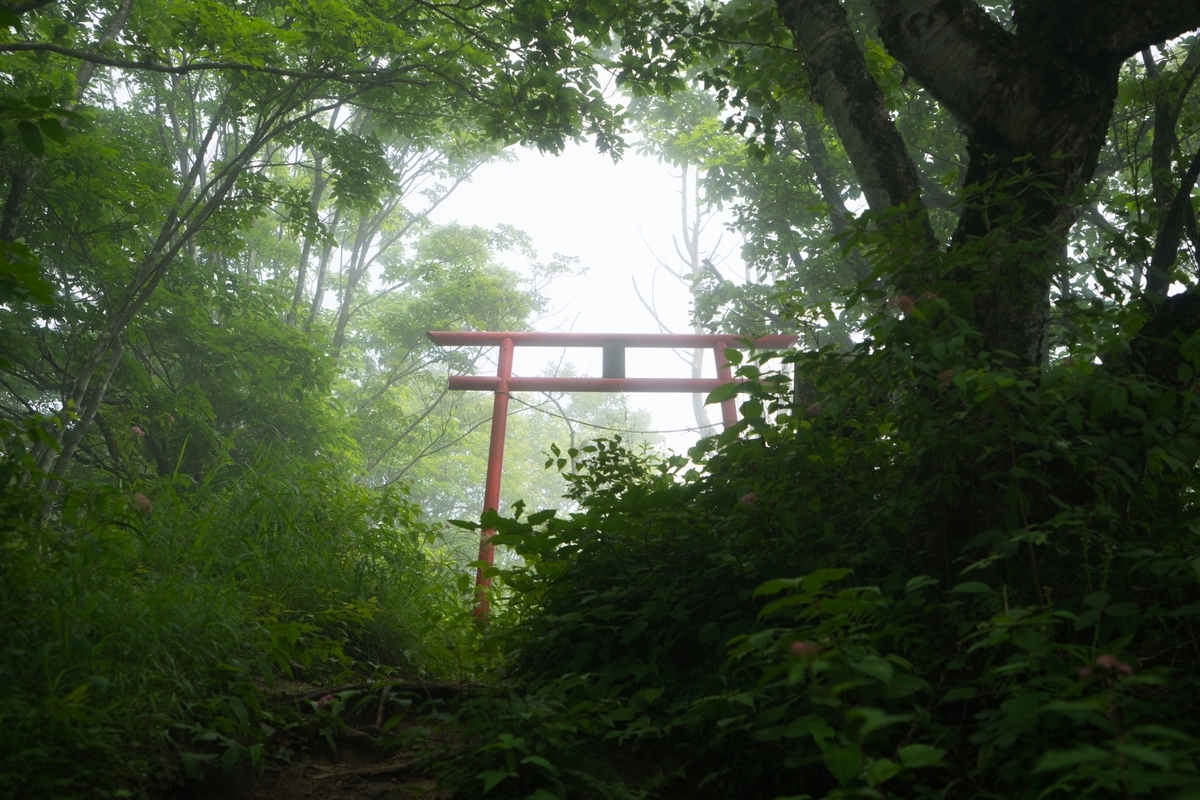霧の山道に浮かぶ朱色の鳥居
