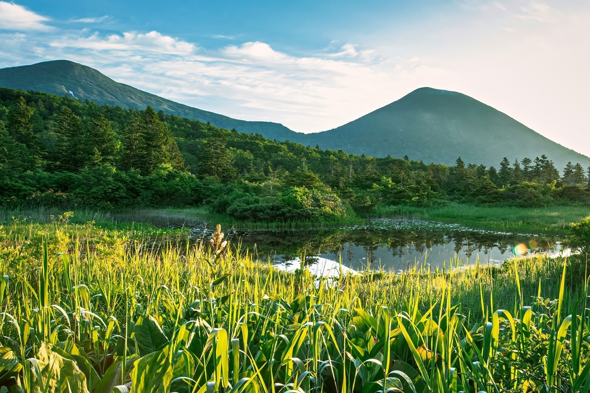 八甲田山中の湿原と山並みに囲まれた谷地温泉周辺