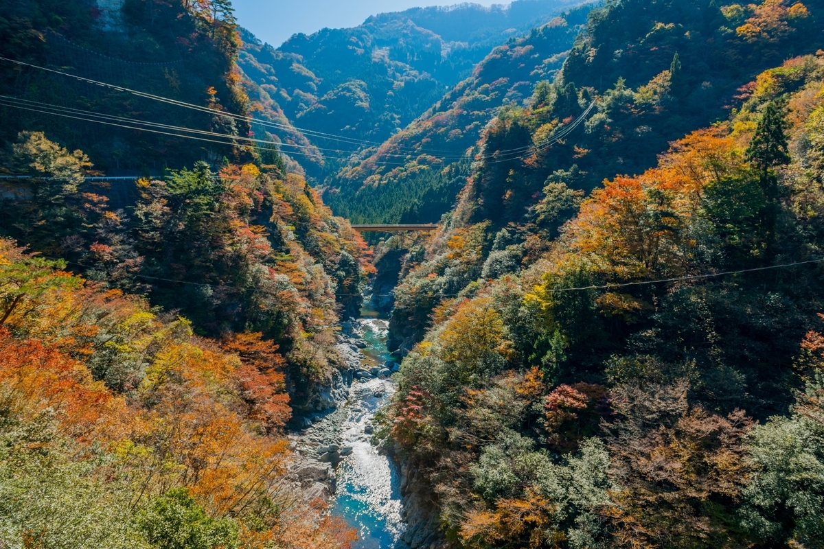 紅葉に包まれた祖谷渓谷の深い谷と川