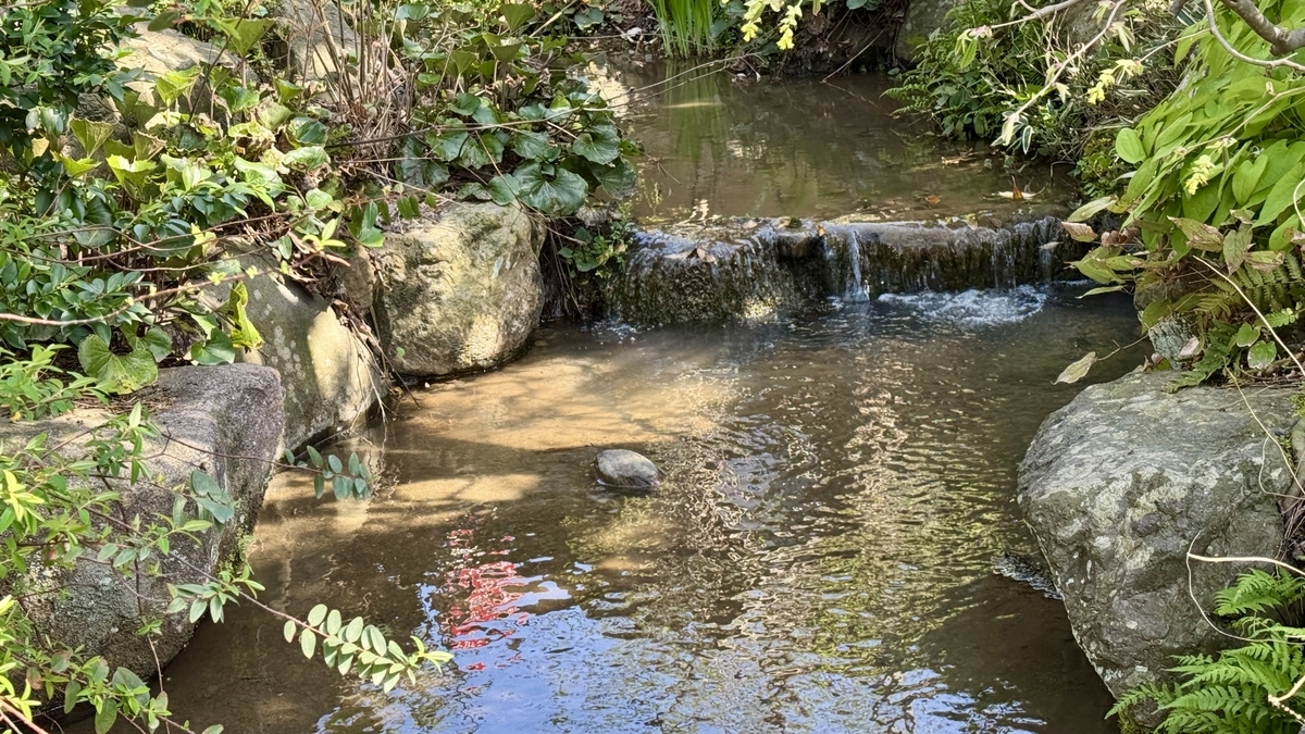 庭園の池へ流れ込む水路と石組み