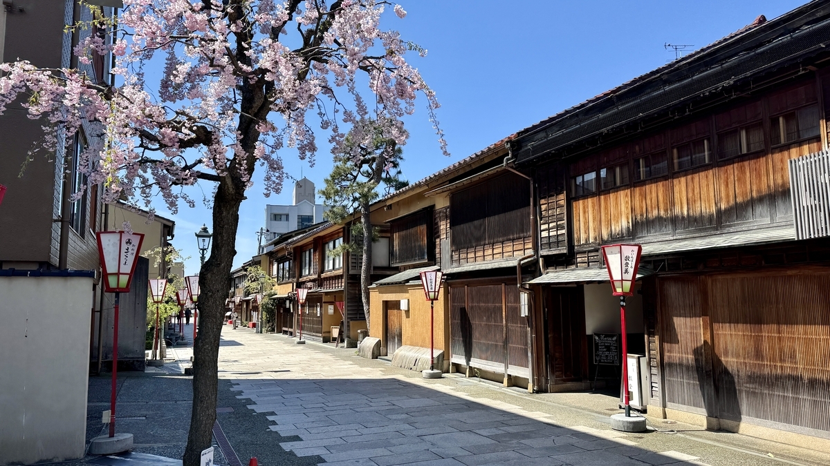 しだれ桜が咲く春のにし茶屋街