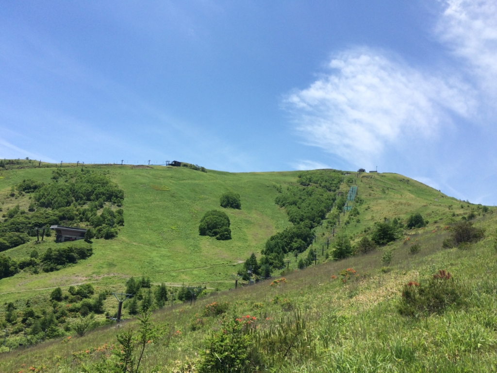 f:id:ritsco:20160807191119j:plain f:id:ritsco:20160807191119j:plain