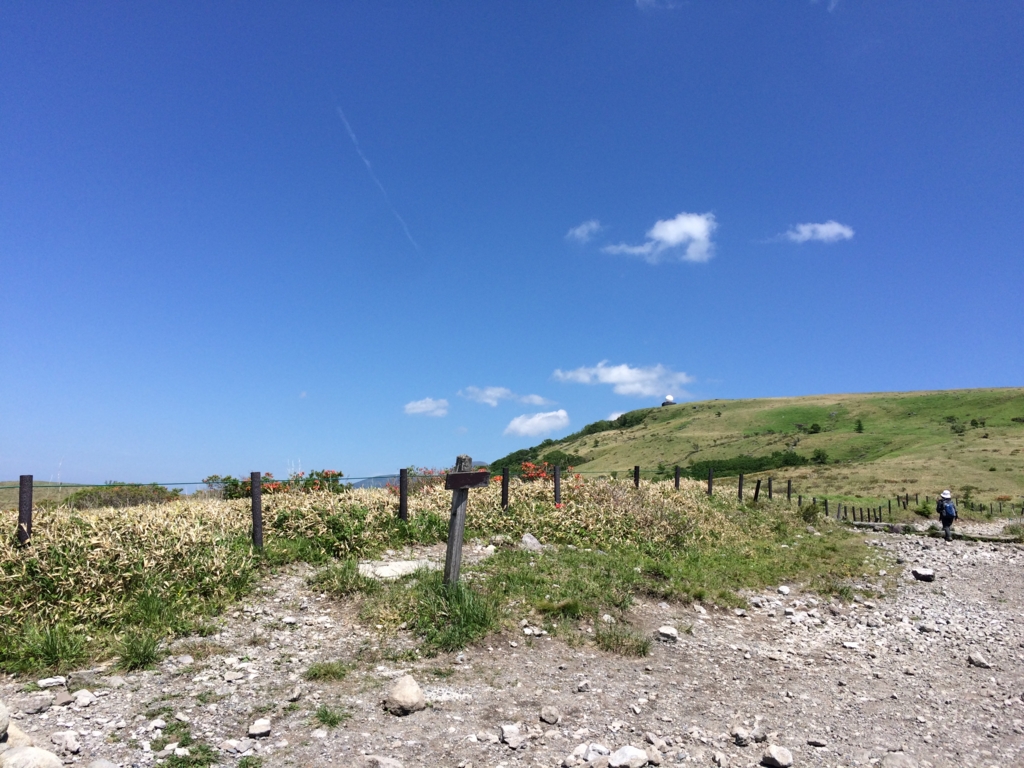 f:id:ritsco:20160807193225j:plain f:id:ritsco:20160807193225j:plain