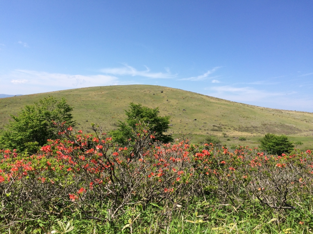 f:id:ritsco:20160807194609j:plain f:id:ritsco:20160807194609j:plain