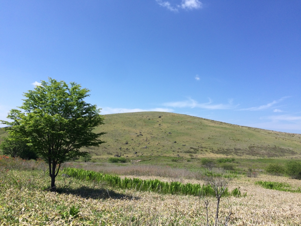 f:id:ritsco:20160807194620j:plain f:id:ritsco:20160807194620j:plain