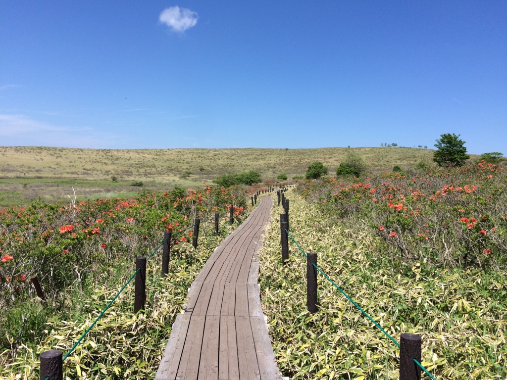 f:id:ritsco:20160807194654j:plain f:id:ritsco:20160807194654j:plain