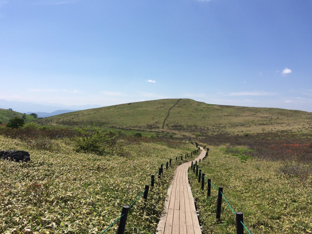 f:id:ritsco:20160807194706j:plain f:id:ritsco:20160807194706j:plain