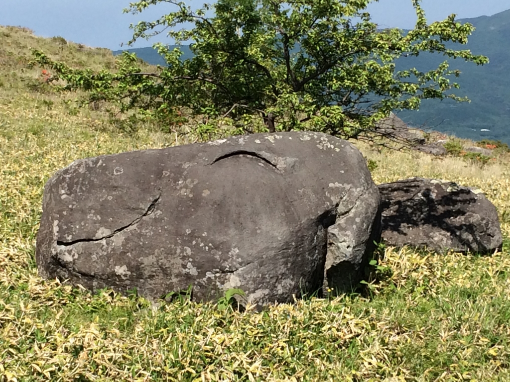 f:id:ritsco:20160807194742j:plain f:id:ritsco:20160807194742j:plain