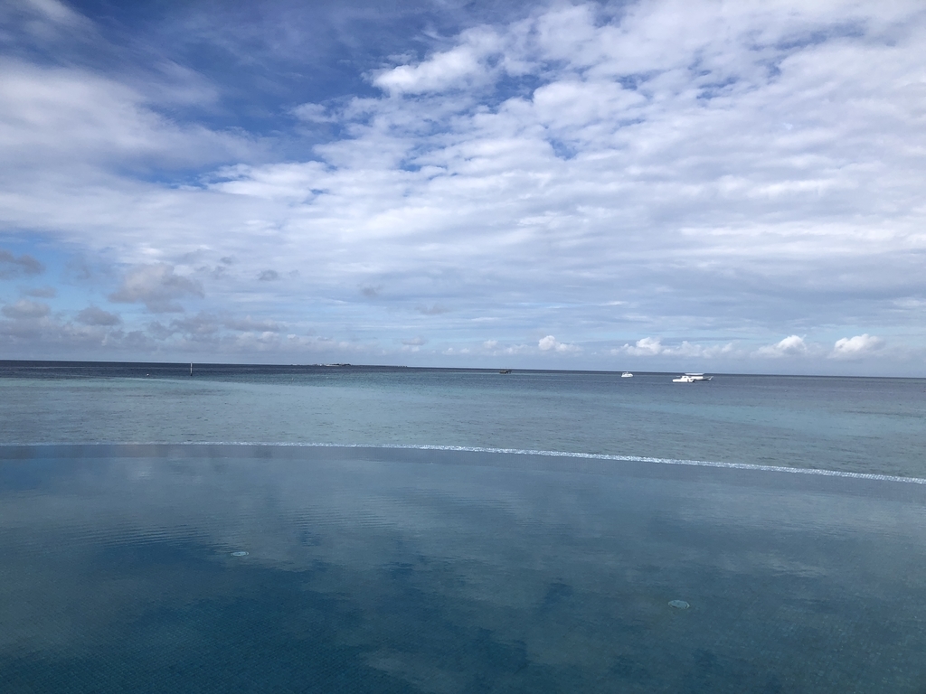 f:id:ritsco:20190218231617j:plain f:id:ritsco:20190218231617j:plain
