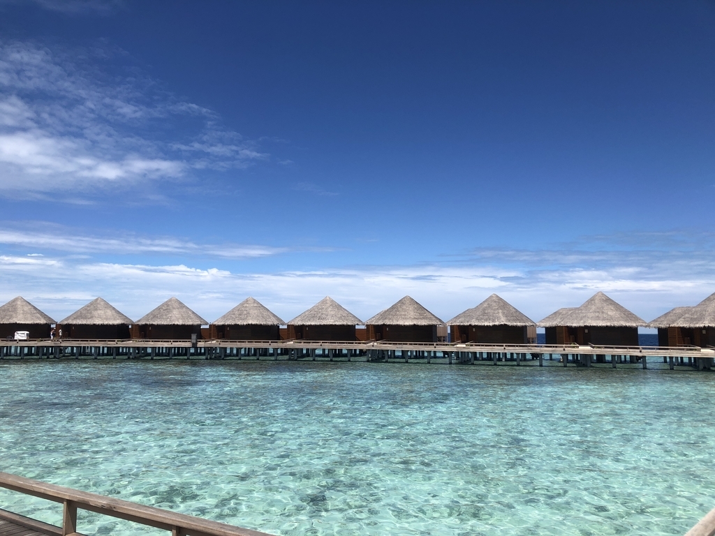 f:id:ritsco:20190218231813j:plain f:id:ritsco:20190218231813j:plain