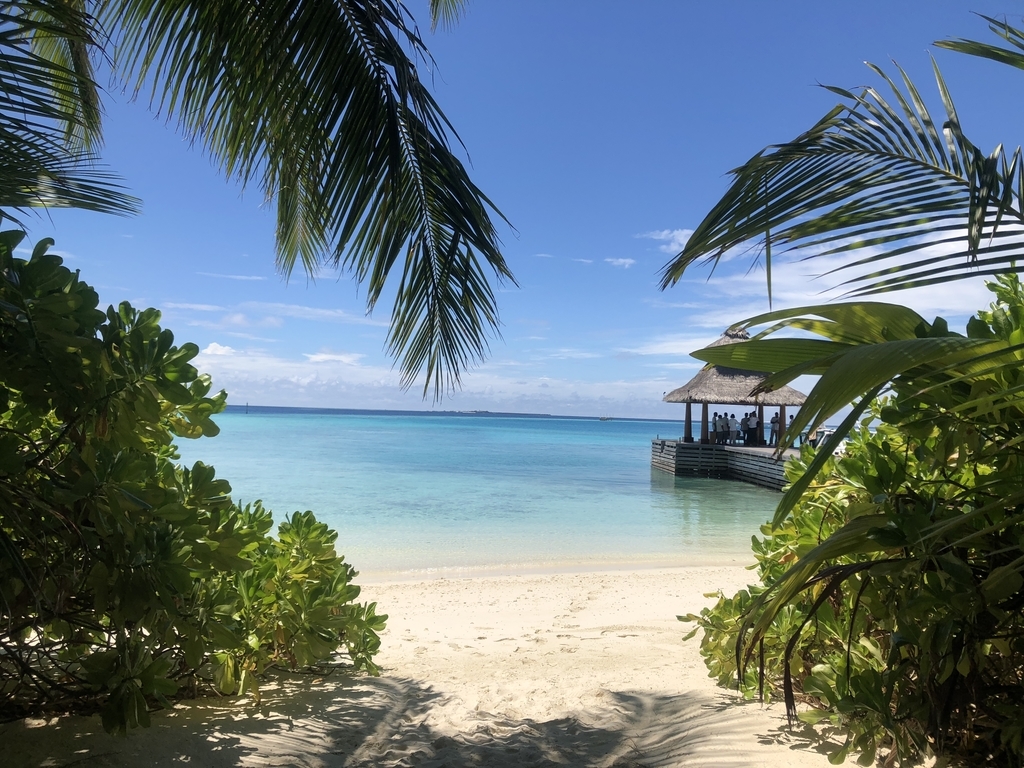 f:id:ritsco:20190218233041j:plain f:id:ritsco:20190218233041j:plain
