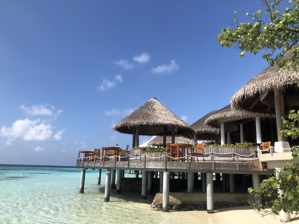 f:id:ritsco:20190303202714j:plain f:id:ritsco:20190303202714j:plain