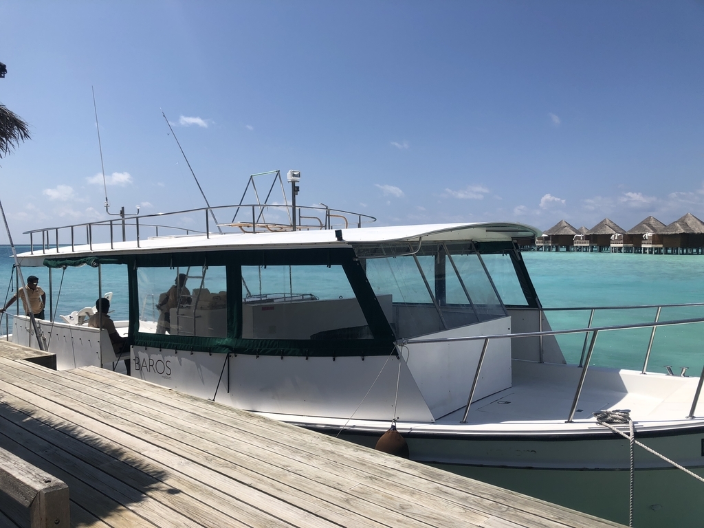 f:id:ritsco:20190303202858j:plain f:id:ritsco:20190303202858j:plain