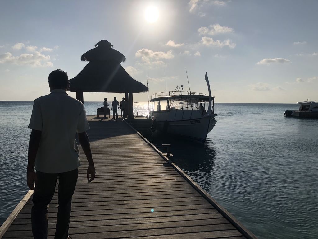 f:id:ritsco:20190303203417j:plain f:id:ritsco:20190303203417j:plain