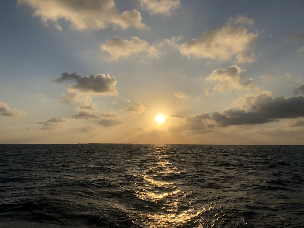 f:id:ritsco:20190303203457j:plain f:id:ritsco:20190303203457j:plain
