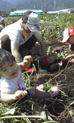 f:id:ritsu5:20121007112605j:image f:id:ritsu5:20121007112605j:image