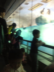 f:id:ritsu5:20130104222312j:image f:id:ritsu5:20130104222312j:image