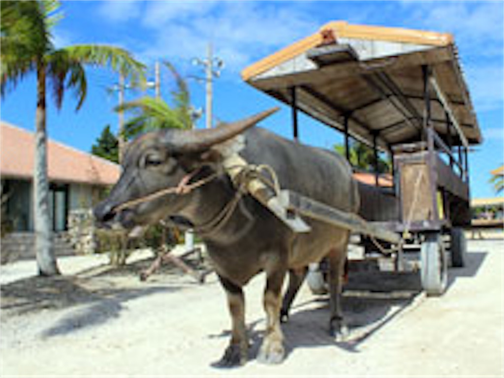 f:id:rittci:20170814204110j:image