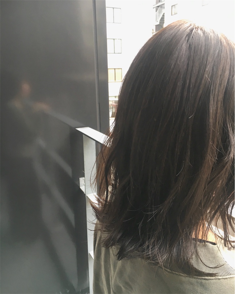 f:id:rittci:20171130185130j:image