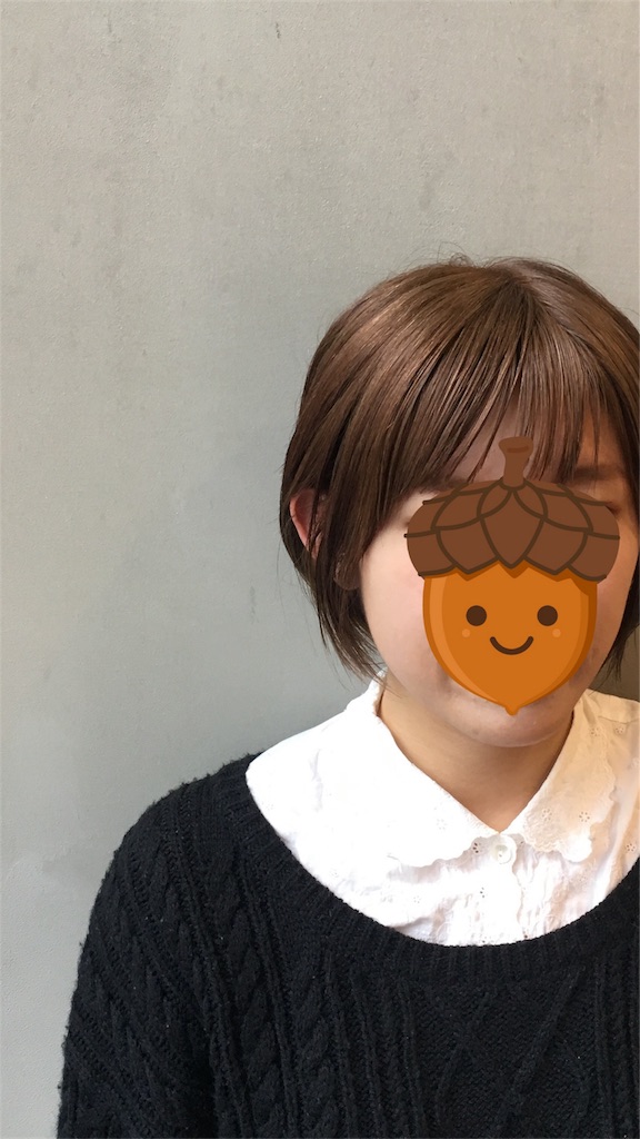 f:id:rittci:20171130185302j:image