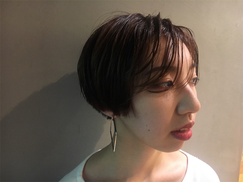 f:id:rittci:20171130185611j:image