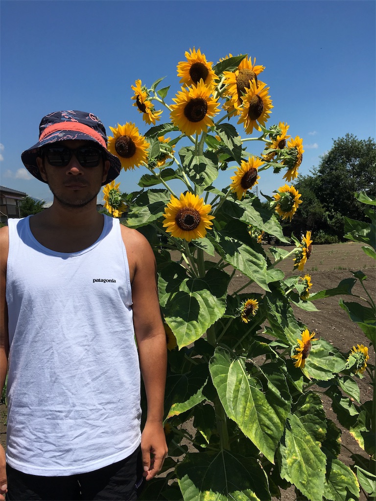 f:id:rittci:20180725205208j:image