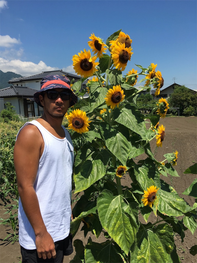 f:id:rittci:20180725205217j:image