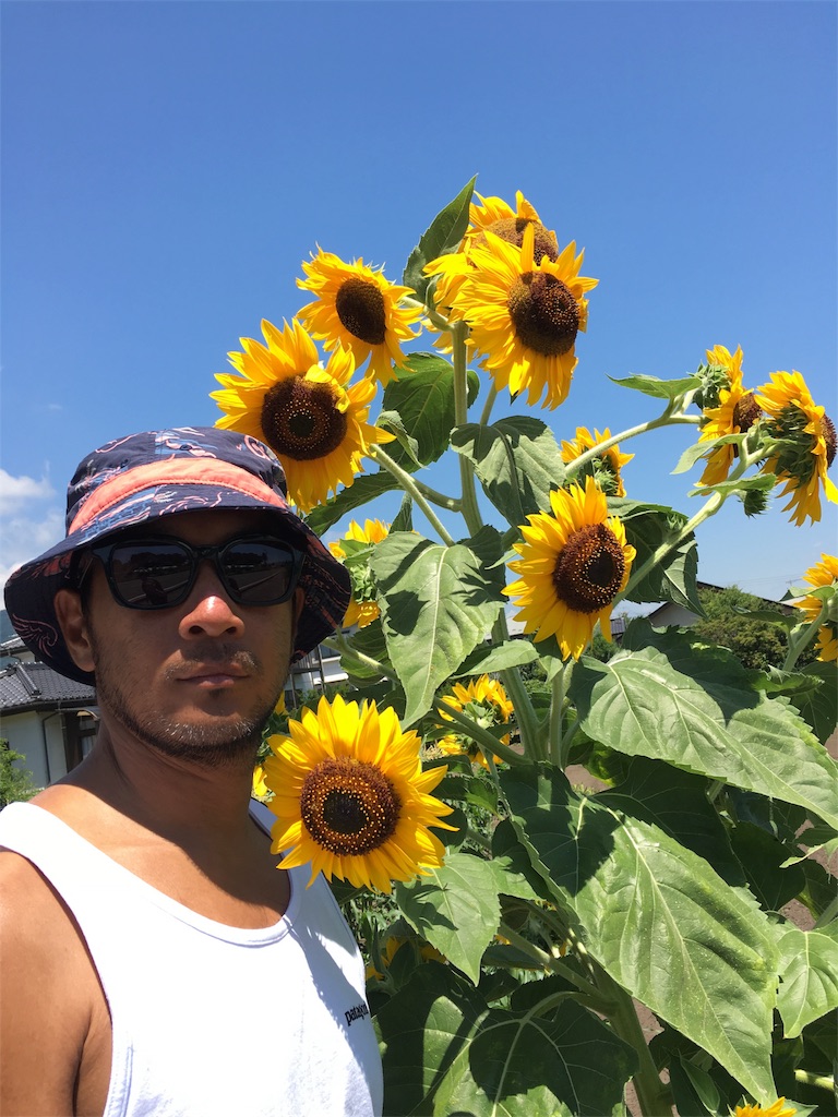 f:id:rittci:20180725205221j:image