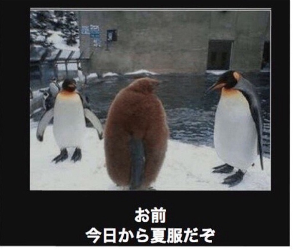 f:id:rittci:20180810205116j:image