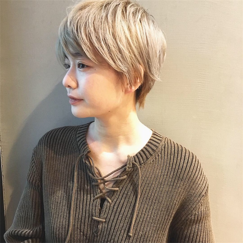 f:id:rittci:20190114213032j:image