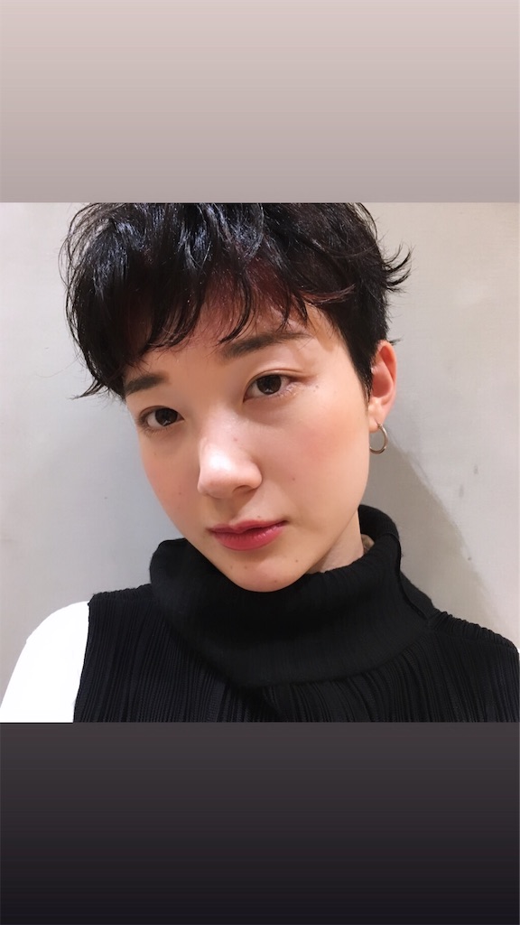 f:id:rittci:20190326191857j:image