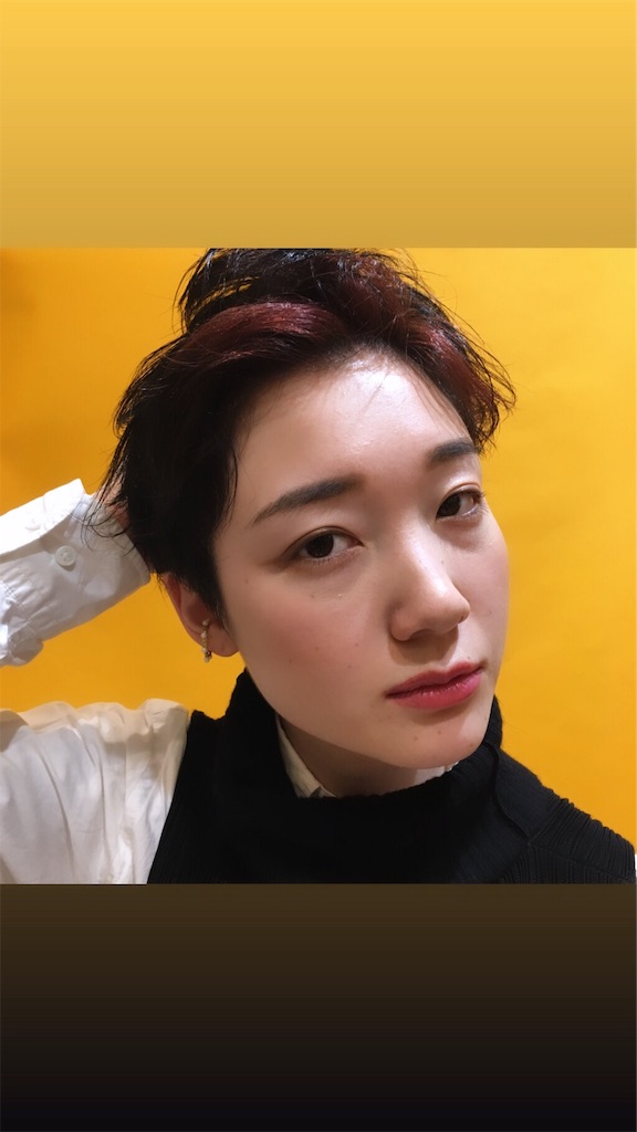 f:id:rittci:20190326192153j:image