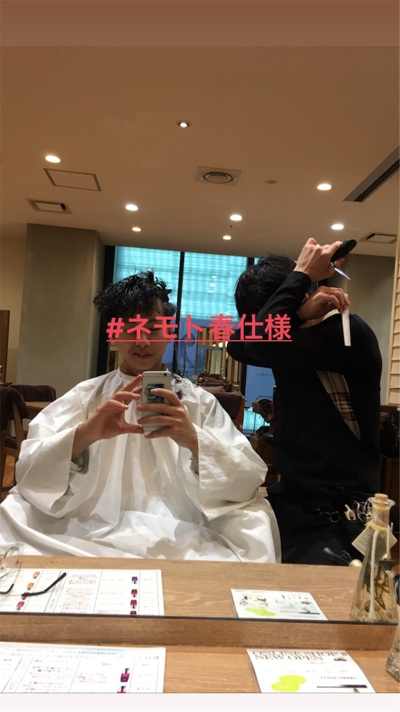 f:id:rittci:20190326194500j:image