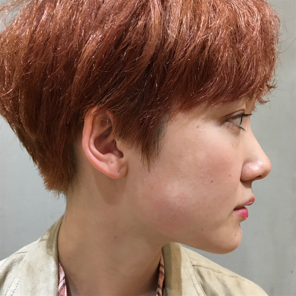 f:id:rittci:20190417205141j:image f:id:rittci:20190417205141j:image