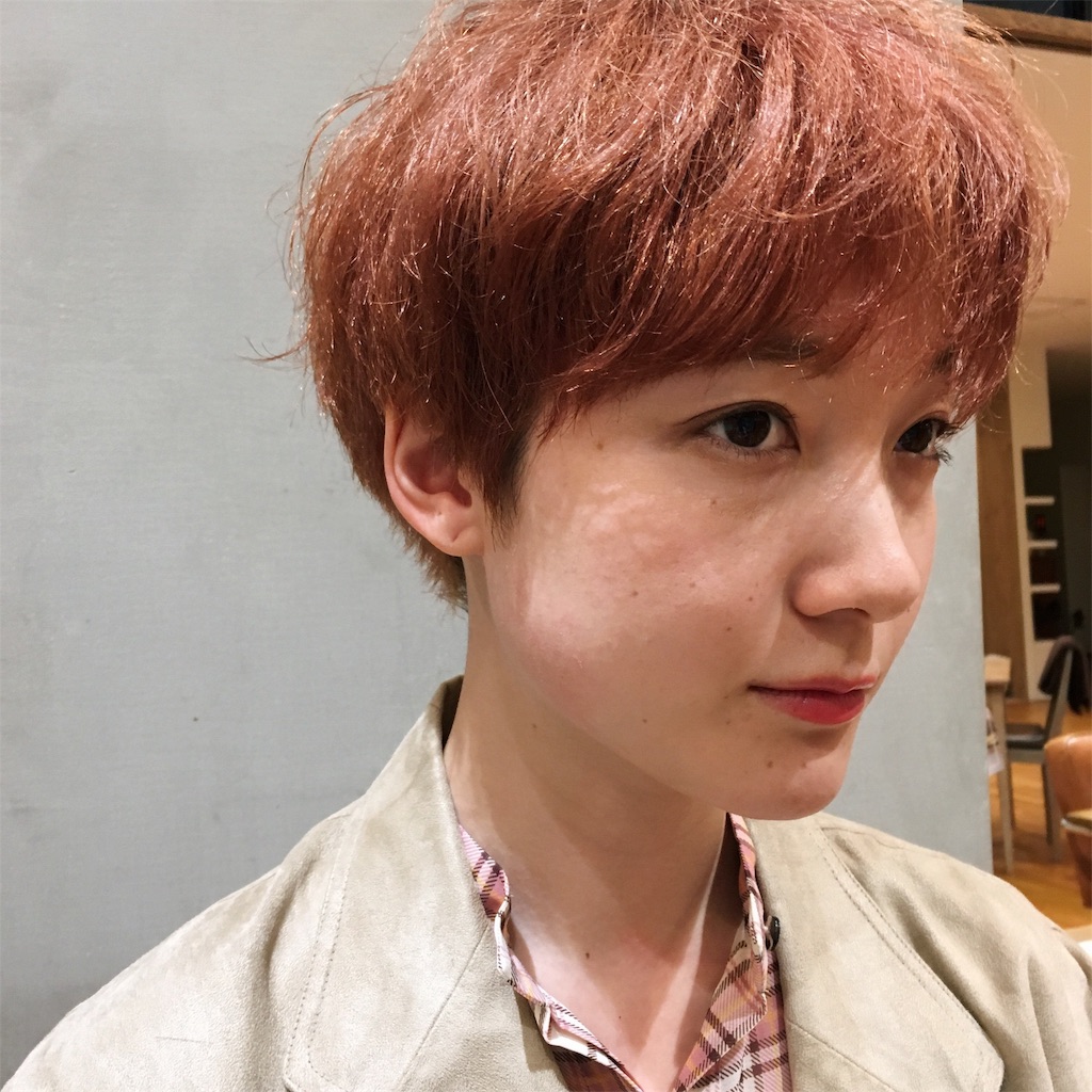 f:id:rittci:20190417211012j:image f:id:rittci:20190417211012j:image