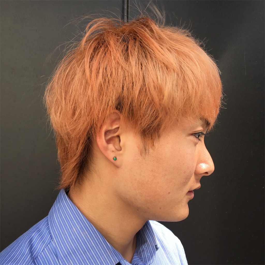 f:id:rittci:20190417213521j:image f:id:rittci:20190417213521j:image